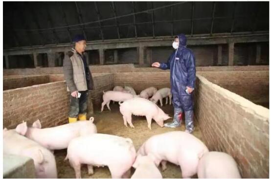 數字人民幣應用保險+期貨.jpg 數字人民幣應用保險+期貨.jpg